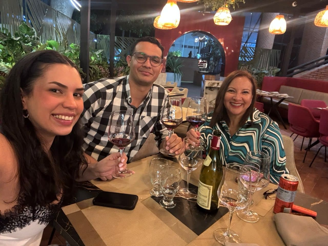 Tres invitados brindando con vino tinto